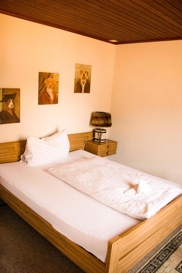 Hotel Rothorn Vintage-Style Зигрисвиль Экстерьер фото